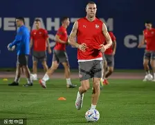 塞尔维亚对匈牙利