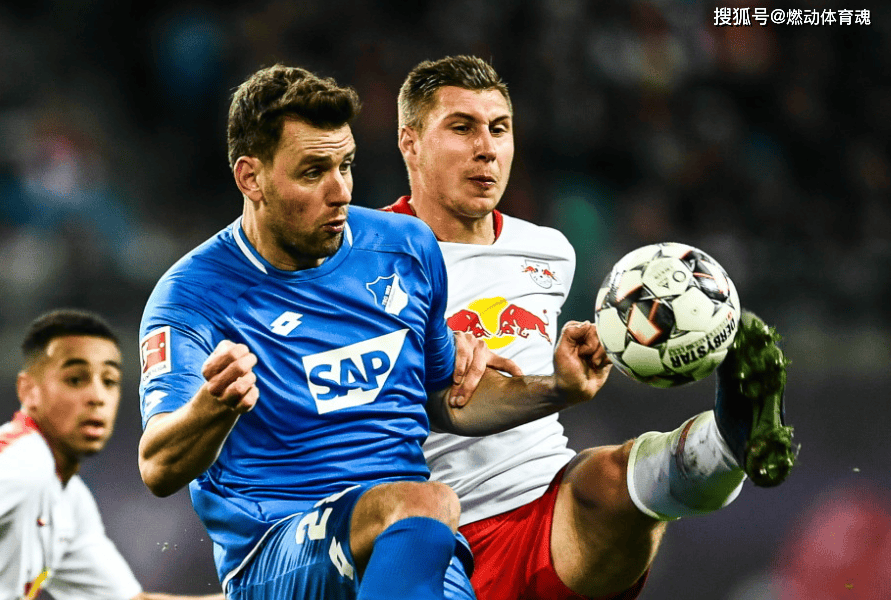 法兰克福哈勒强壮