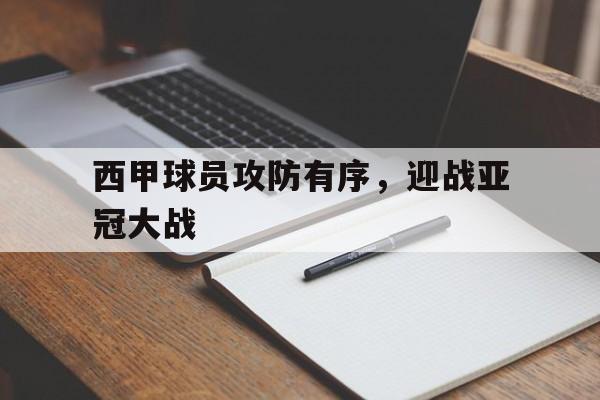 西甲阵容 西甲阵容
